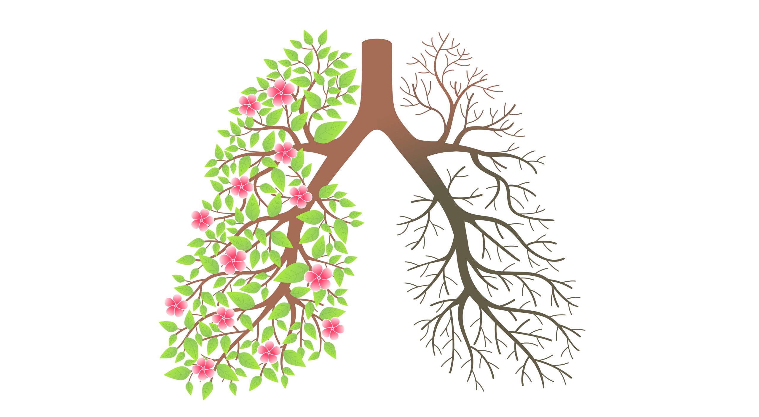 Deep Inhale čaj za čišćenje pluća Zdravarica